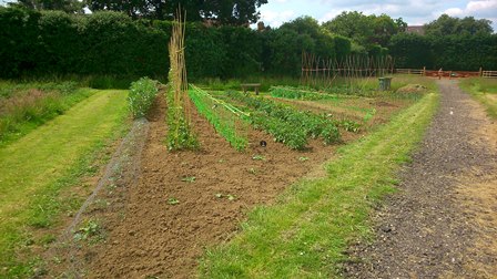 allotments