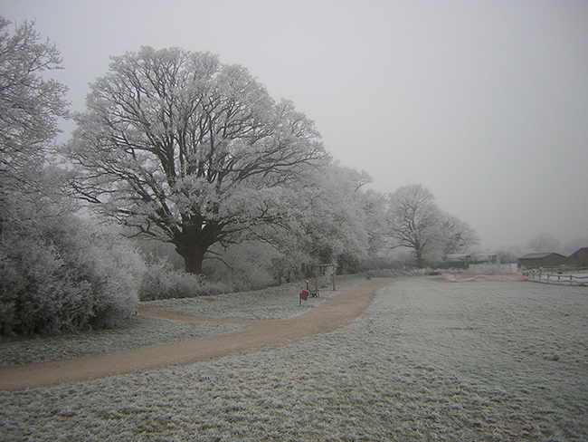 jubilee fields in the snow