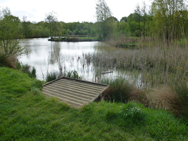 fishing lake